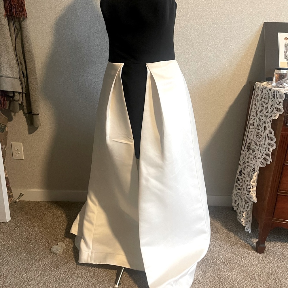 Halston Heritage Gorgeous Gown